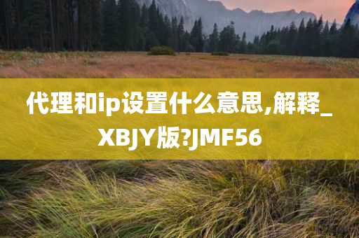 代理和ip设置什么意思,解释_XBJY版?JMF56