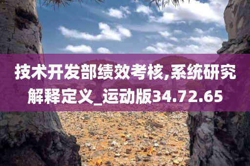 技术开发部绩效考核,系统研究解释定义_运动版34.72.65