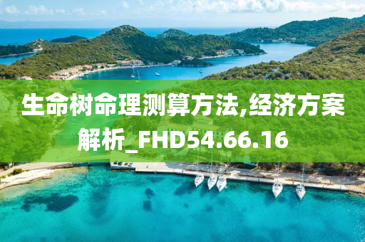 生命树命理测算方法,经济方案解析_FHD54.66.16