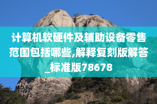 计算机软硬件及辅助设备零售范围包括哪些,解释复刻版解答_标准版78678