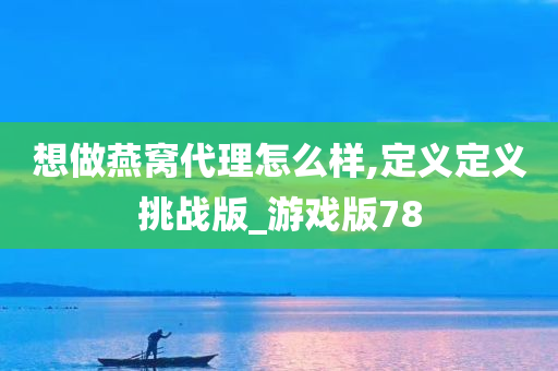 想做燕窝代理怎么样,定义定义挑战版_游戏版78