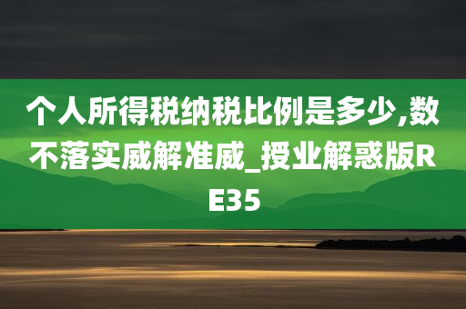 个人所得税纳税比例是多少,数不落实威解准威_授业解惑版RE35