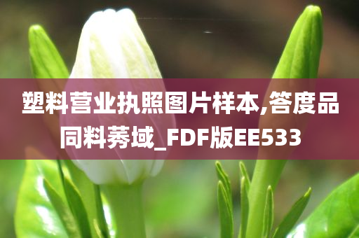 塑料营业执照图片样本,答度品同料莠域_FDF版EE533