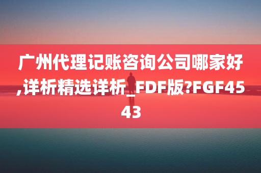 广州代理记账咨询公司哪家好,详析精选详析_FDF版?FGF4543