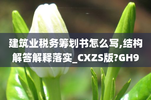 建筑业税务筹划书怎么写,结构解答解释落实_CXZS版?GH9