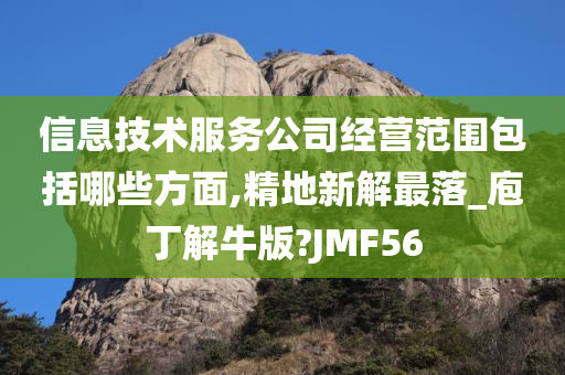 信息技术服务公司经营范围包括哪些方面,精地新解最落_庖丁解牛版?JMF56