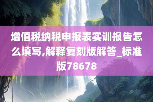 增值税纳税申报表实训报告怎么填写,解释复刻版解答_标准版78678