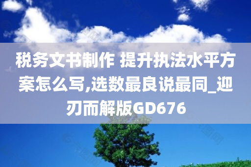 税务文书制作 提升执法水平方案怎么写,选数最良说最同_迎刃而解版GD676