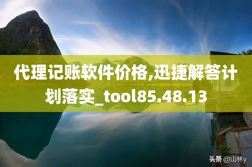 代理记账软件价格,迅捷解答计划落实_tool85.48.13