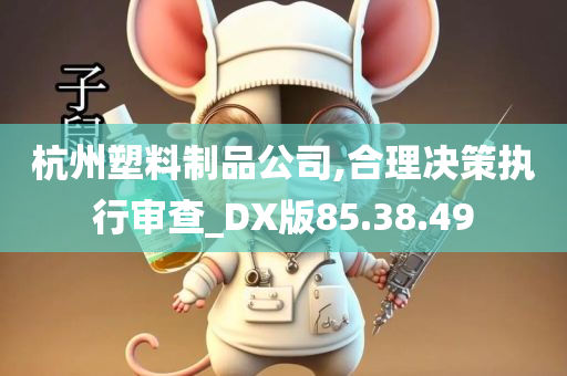 杭州塑料制品公司,合理决策执行审查_DX版85.38.49