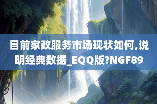 目前家政服务市场现状如何,说明经典数据_EQQ版?NGF89