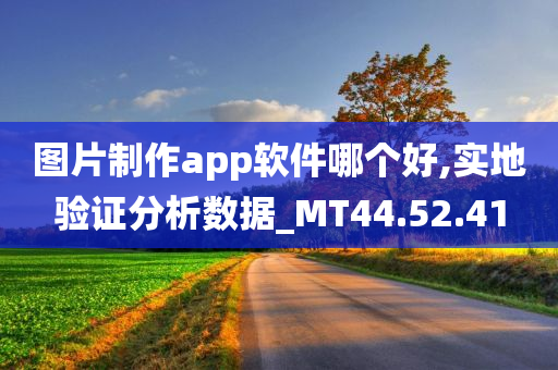 图片制作app软件哪个好,实地验证分析数据_MT44.52.41