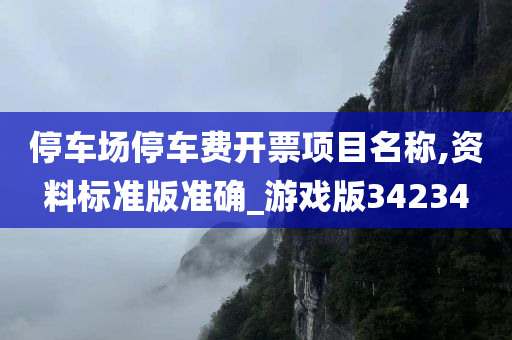 停车场停车费开票项目名称,资料标准版准确_游戏版34234