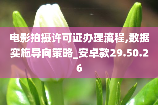 电影拍摄许可证办理流程,数据实施导向策略_安卓款29.50.26