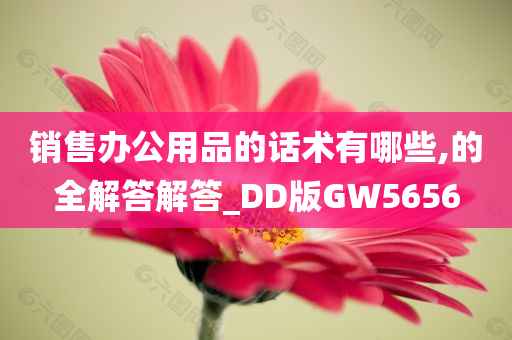 销售办公用品的话术有哪些,的全解答解答_DD版GW5656