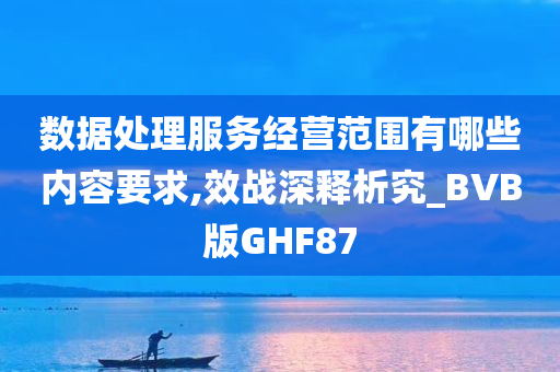 数据处理服务经营范围有哪些内容要求,效战深释析究_BVB版GHF87