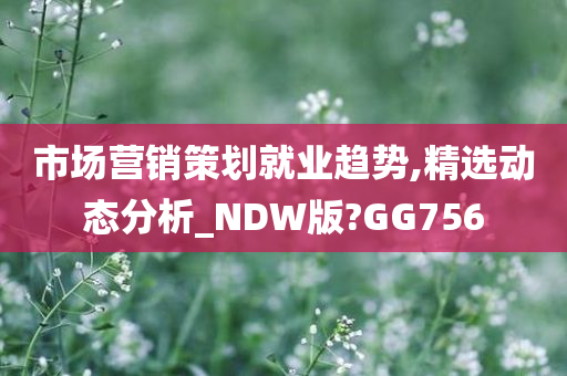 市场营销策划就业趋势,精选动态分析_NDW版?GG756