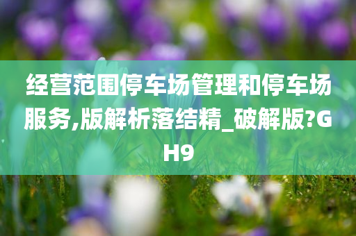 经营范围停车场管理和停车场服务,版解析落结精_破解版?GH9