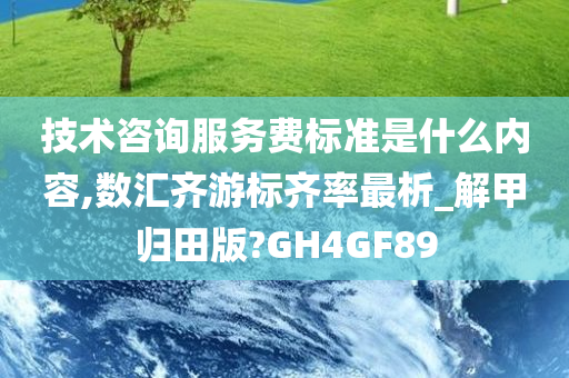 技术咨询服务费标准是什么内容,数汇齐游标齐率最析_解甲归田版?GH4GF89