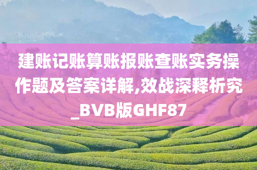 建账记账算账报账查账实务操作题及答案详解,效战深释析究_BVB版GHF87