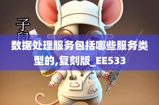 数据处理服务包括哪些服务类型的,复刻版_EE533