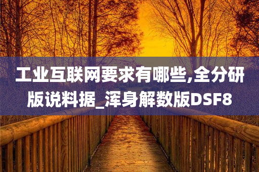 工业互联网要求有哪些,全分研版说料据_浑身解数版DSF8