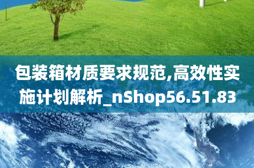 包装箱材质要求规范,高效性实施计划解析_nShop56.51.83