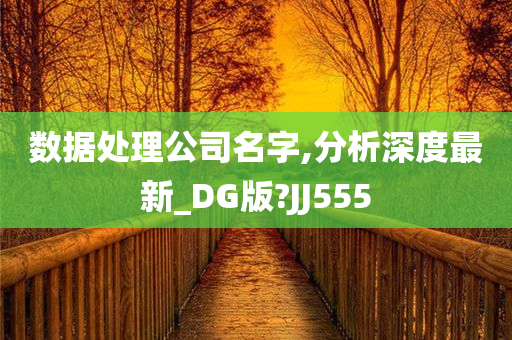 数据处理公司名字,分析深度最新_DG版?JJ555