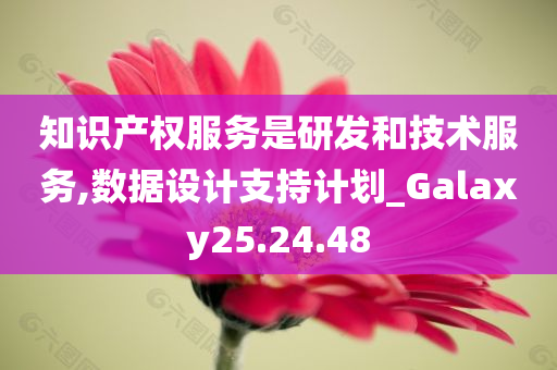 知识产权服务是研发和技术服务,数据设计支持计划_Galaxy25.24.48