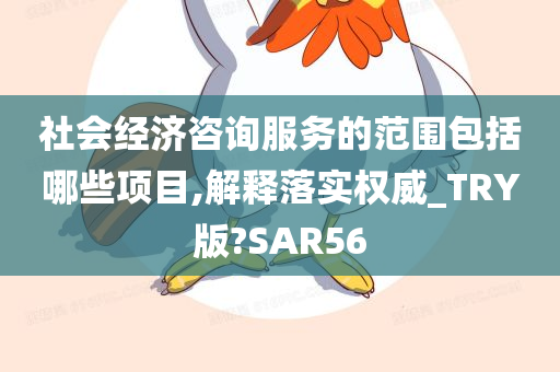 社会经济咨询服务的范围包括哪些项目,解释落实权威_TRY版?SAR56