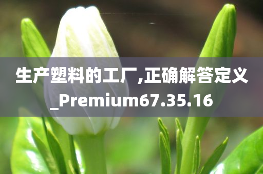 生产塑料的工厂,正确解答定义_Premium67.35.16