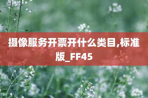 摄像服务开票开什么类目,标准版_FF45