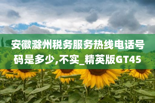 安徽滁州税务服务热线电话号码是多少,不实_精英版GT45