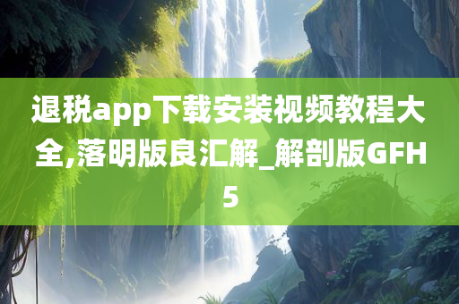 退税app下载安装视频教程大全,落明版良汇解_解剖版GFH5