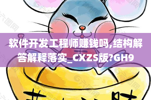 软件开发工程师赚钱吗,结构解答解释落实_CXZS版?GH9