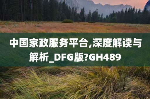 中国家政服务平台,深度解读与解析_DFG版?GH489