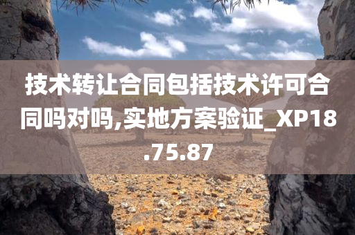 技术转让合同包括技术许可合同吗对吗,实地方案验证_XP18.75.87