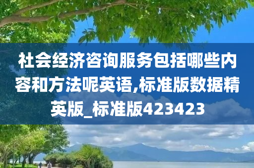 社会经济咨询服务包括哪些内容和方法呢英语,标准版数据精英版_标准版423423