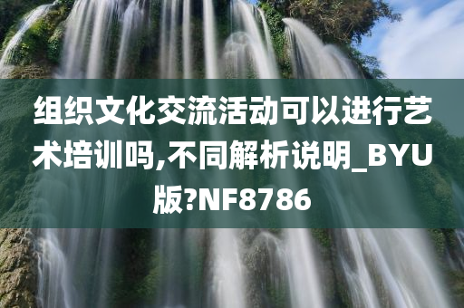 组织文化交流活动可以进行艺术培训吗,不同解析说明_BYU版?NF8786