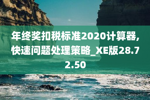 年终奖扣税标准2020计算器,快速问题处理策略_XE版28.72.50