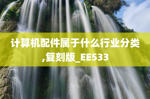 计算机配件属于什么行业分类,复刻版_EE533