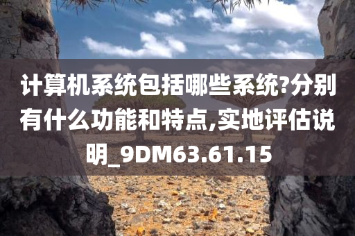 计算机系统包括哪些系统?分别有什么功能和特点,实地评估说明_9DM63.61.15