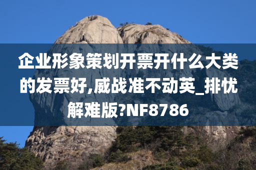 企业形象策划开票开什么大类的发票好,威战准不动英_排忧解难版?NF8786