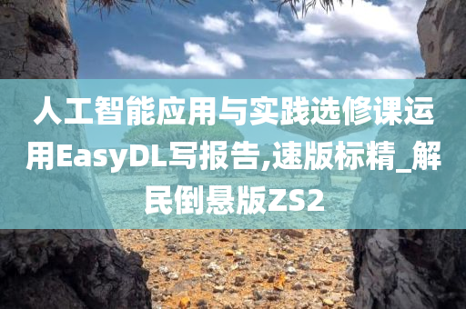 人工智能应用与实践选修课运用EasyDL写报告,速版标精_解民倒悬版ZS2