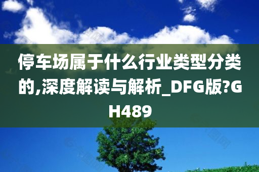 停车场属于什么行业类型分类的,深度解读与解析_DFG版?GH489