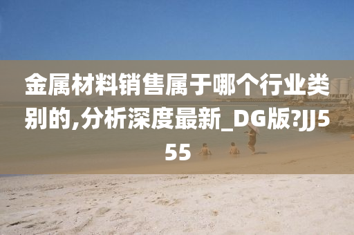 金属材料销售属于哪个行业类别的,分析深度最新_DG版?JJ555