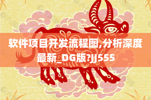 软件项目开发流程图,分析深度最新_DG版?JJ555