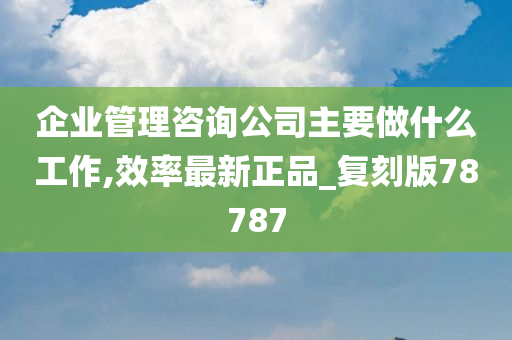 企业管理咨询公司主要做什么工作,效率最新正品_复刻版78787