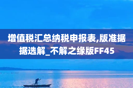 增值税汇总纳税申报表,版准据据选解_不解之缘版FF45