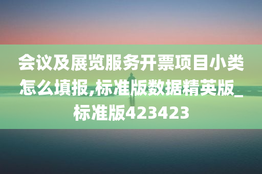 会议及展览服务开票项目小类怎么填报,标准版数据精英版_标准版423423